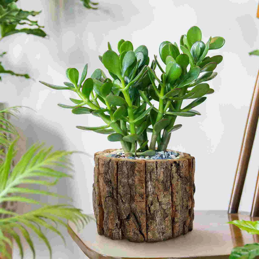 Waterproof Flower Bucket Rustic Pot Plant Pots Indoor Rural Desktop Decoration Outdoor Wooden Container Bark