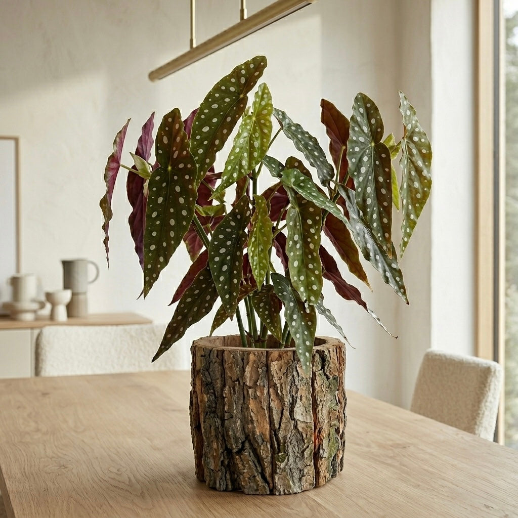 Rustic Tree Bark Planter Pot – Natural Wooden Look Indoor Plant Pot